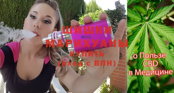 PSILOCYBIN Алзамай
