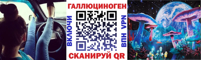 как найти закладки  блэк спрут tor  Галлюциногенные грибы Magic Shrooms  Карачев 